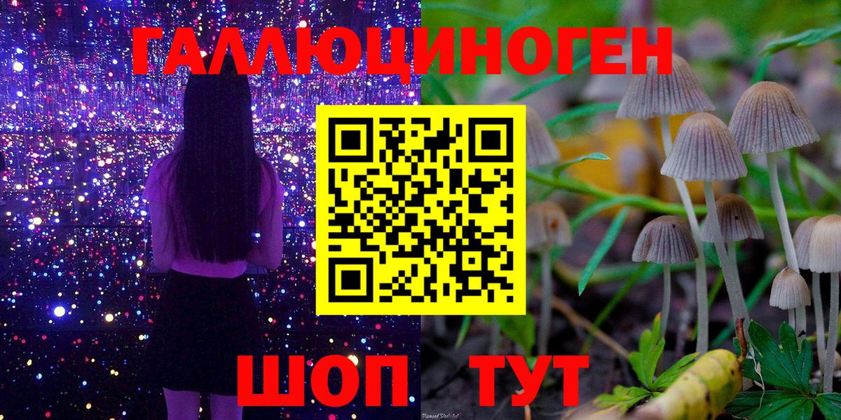 Псилоцибиновые грибы Psilocybine cubensis Славянск-на-Кубани