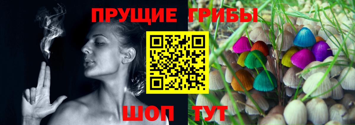 Славянск-на-Кубани  Галлюциногенные грибы Psilocybine cubensis  Галлюциногенные грибы мухоморы  где можно купить   Вход с VPN 